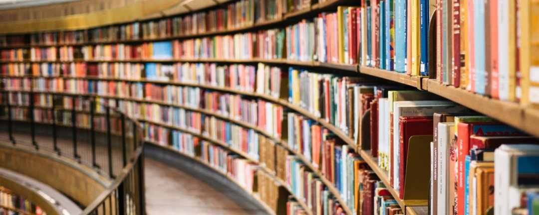 Bildung
